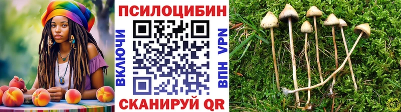 Псилоцибиновые грибы мицелий  Кулебаки 